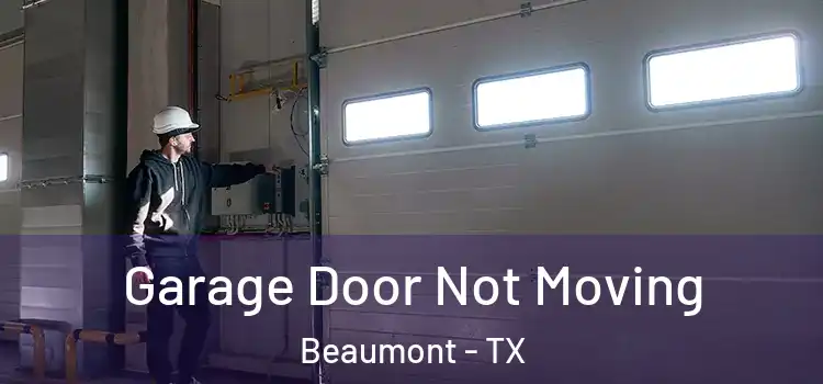  Garage Door Not Moving Beaumont - TX