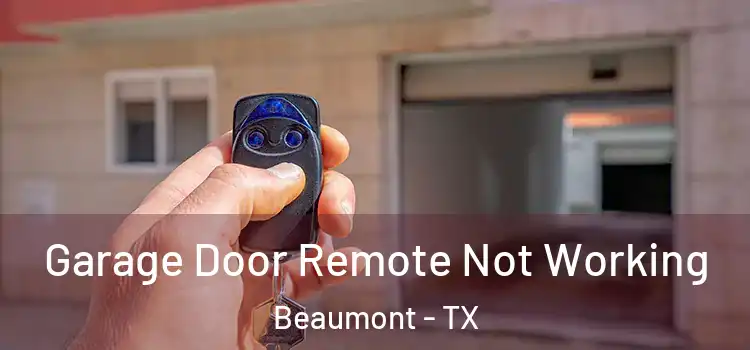  Garage Door Remote Not Working Beaumont - TX