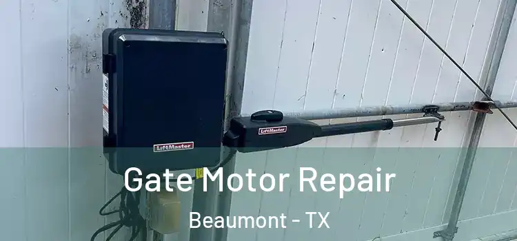 Gate Motor Repair Beaumont - TX