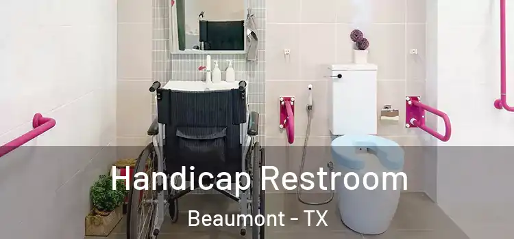  Handicap Restroom Beaumont - TX